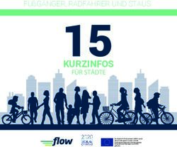 KURZINFOS FU&szlig;G&Auml;NGER, RADFAHRER UND STAUS: F&Uuml;R ST&Auml;DTE - FLOW