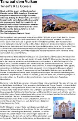 Tanz auf dem Vulkan Teneriffa & La Gomera - Teneriffa-on-Bike.