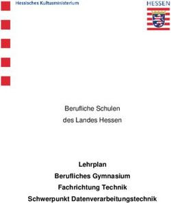 Lehrplan Berufliches Gymnasium Fachrichtung Technik Schwerpunkt Datenverarbeitungstechnik - Berufliche Schulen des Landes Hessen