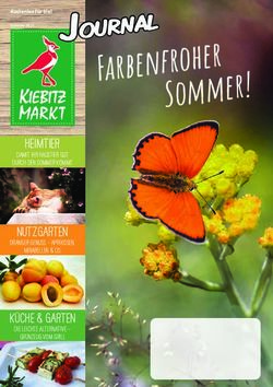 Farbenfroher Sommer! Heimtier Nutzgarten - Oranger Genuss - Aprikosen, Mirabellen & Co.