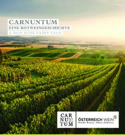 CARNUNTUM EINE ROTWEINGESCHICHTE A RED WINE FAIRY TALE - Wein Nieder&ouml;sterreich