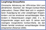 Serge Sulz Kinderkrippe als toxischer Dauerstress f&uuml;r Kinder Vortrag Psychosomatik Kongress 2018