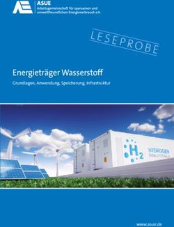 Energietr&auml;ger Wasserstoff - Grundlagen, Anwendung, Speicherung, Infrastruktur - www.asue.de
