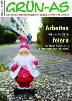 Arbeiten, wenn andere - Wir stellen Menschen vor, die Weihnachten f&uuml;r uns da sind - Gr&uuml;n-As