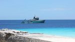 Äußere Seychellen mit der MV Maya's Dugong - Entdecken Sie auf dieser Expedition die äußeren Inseln