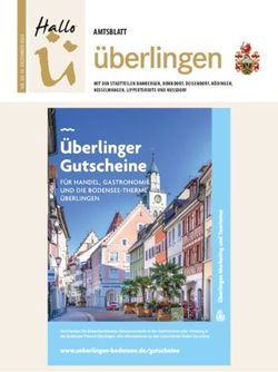 AMTSBLATT MIT DEN STADTTEILEN BAMBERGEN, BONNDORF, DEISENDORF, HÖDINGEN, NESSELWANGEN, LIPPERTSREUTE UND NUSSDORF - Hallo Ü