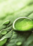 Produktkatalog 2021 www.rogg-verbandstoffe.de - FAIR. NACHHALTIG. DIGITAL - ROGG Verbandstoffe