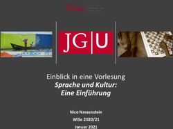 Sprache und Kultur: Eine Einf&uuml;hrung - Einblick in eine Vorlesung Nico Nassenstein