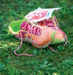 2020 DIE LAUFSERIE IM KANTON AARGAU - Aargauer Zeitung