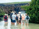 Rausch Im - SILVER GALAPAGOS Galapagos-Inseln