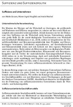 Suffizienz und Unternehmen