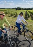 BELIEBTESTES ZIEL FÜR RADTOURISTEN - Radrouten von insgesamt 5000 km - Loiretal - AT Media