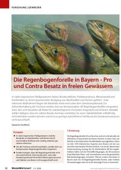 Die Regenbogenforelle in Bayern - Pro und Contra Besatz in freien Gew&auml;ssern - Pro und Contra Besatz in ...
