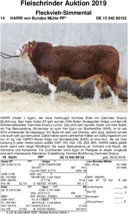 Fleischrinder Auktion 2019 - Fleckvieh-Simmental - Rinderallianz