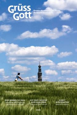 DEM HIMMEL SO NAH AUF ZWEI R &Auml;DERN - Handlungsfelder