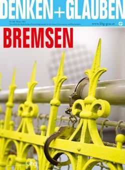 BREMSEN DENKEN GLAUBEN - WWW.KHG - GRAZ.AT - KHG GRAZ