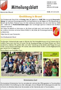 Mitteilungsblatt - Gemeinde Brand