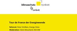Tour de France der Energiewende - Referent: Peter Schilken, Energy Cities Moderation: Claire Mouchard, KEA-BW