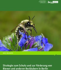 Strategie zum Schutz und zur F&ouml;rderung von Bienen und anderen Best&auml;ubern in Berlin - Berlin: lebenswerter - Berlin.de