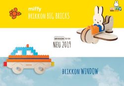 Brikkon BIG BRICKS miffy - NEU 2019 - Brandtraders