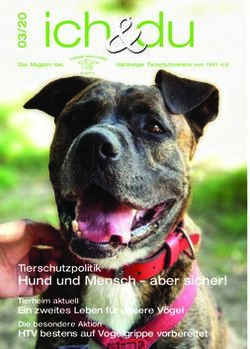 Ich du - Hund und Mensch - aber sicher! Tierschutzpolitik - Hamburger Tierschutzverein