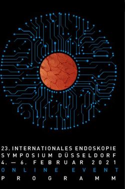 INTERNATIONALES ENDOSKOPIE SYMPOSIUM D&Uuml;SSELDORF I NE