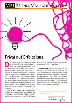 Privat auf Erfolgskurs - D as Werbebudget f&uuml;r das n&auml;chste Jahr - Medienmanager