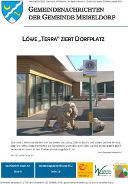 L&Ouml;WE "TERRA" ZIERT DORFPLATZ - GEMEINDENACHRICHTEN DER GEMEINDE MEISELDORF