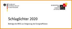 SCHLAGLICHTER 2020 BEITR&Auml;GE DER BFEE ZUR STEIGERUNG DER ENERGIEEFFIZIENZ - BUNDESSTELLE F&Uuml;R ENERGIEEFFIZIENZ