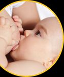 Ern&auml;hrung des S&auml;uglings - Gesund ins Leben