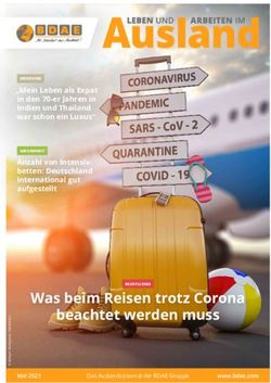 Was beim Reisen trotz Corona beachtet werden muss - BDAE