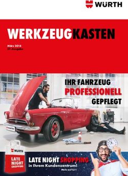 WERKZEUGKASTEN - PROFESSIONELL IHR FAHRZEUG