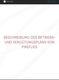 BESCHREIBUNG DES BETRIEBS- UND VERGÜTUNGSPLANS VON FIREFLIES