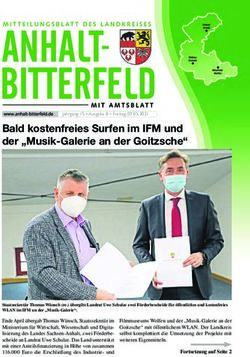 Bald kostenfreies Surfen im IFM und der "Musik-Galerie an der Goitzsche"