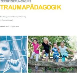 TRAUMAPÄDAGOGIK ZERTIFIZIERUNGSKURS - Berufsbegleitende Weiterqualifizierung in Traumapädagogik - Traumapädagogik