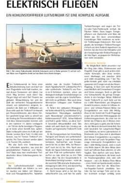 ELEKTRISCH FLIEGEN EIN KOHLENSTOFFFREIER LUFTVERKEHR IST EINE KOMPLEXE AUFGABE - Sonnenenergie