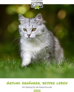 Gesund ernähren, besser leben - Der Katalog für alle Katzenfreunde - Hokamix