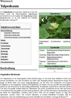 Tulpenbaum - Das Kleingartenportal