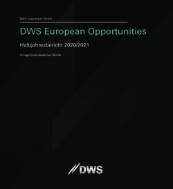 DWS European Opportunities - Halbjahresbericht 2020/2021