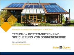TECHNIK - KOSTEN-NUTZEN UND SPEICHERUNG VON SONNENENERGIE - DR. JANN BINDER - Kosten-Nutzen und Speicherung von ...