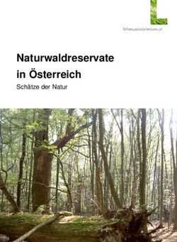 Naturwaldreservate in Österreich - Schätze der Natur