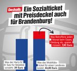 Links.Blick - Die Linke. Lausitz