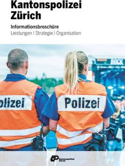 Kantonspolizei Zürich - Informationsbroschüre Leistungen I Strategie I Organisation - Kantonspolizei Zürich