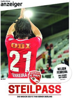 NELSON FERREIRA EINE LEGENDE TRITT ZUR&Uuml;CK - DAS MAGAZIN DES FC THUN BERNER OBERLAND