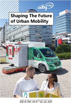 Shaping The Future of Urban Mobility - Rinspeed AG