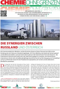 DIE SYNERGIEN ZWISCHEN RUSSLAND UND &Ouml;STERREICH