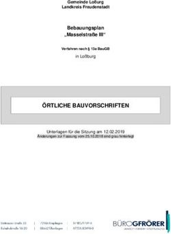 &Ouml;RTLICHE BAUVORSCHRIFTEN - Bebauungsplan "Masselstra&szlig;e III" Gemeinde Lo&szlig;urg Landkreis Freudenstadt - Lo&szlig;burg