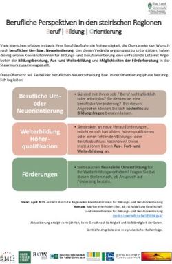 Berufliche Perspektiven in den steirischen Regionen - Murau ...