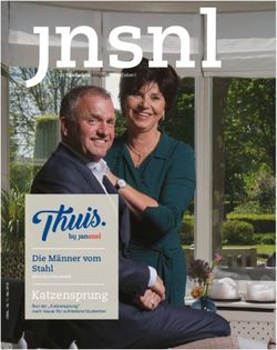 Katzensprung Die Männer vom Stahl - Das flexibelste Magazin aller Zeiten! - Jan Snel