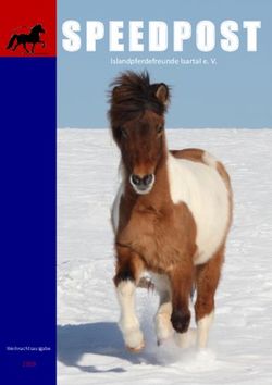 TITELBLATT Islandpferdefreunde Isartal e. V - IPF-Isartal